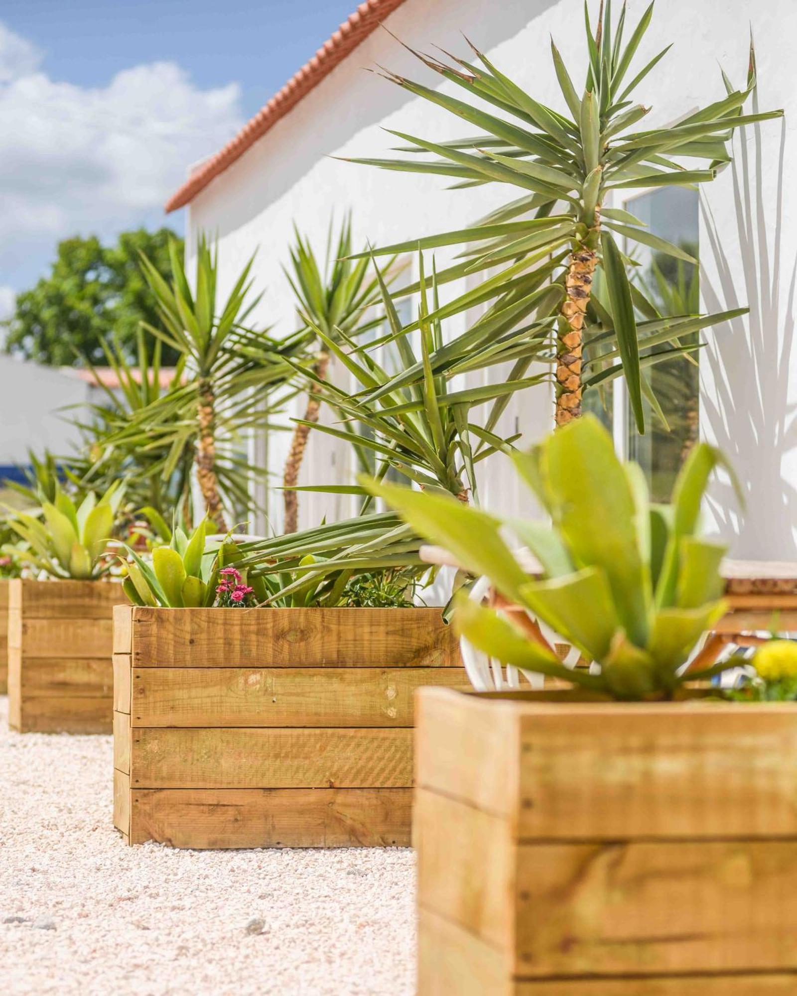 Valle D'Agua - Casas De Campo Vale de Água Eksteriør bilde