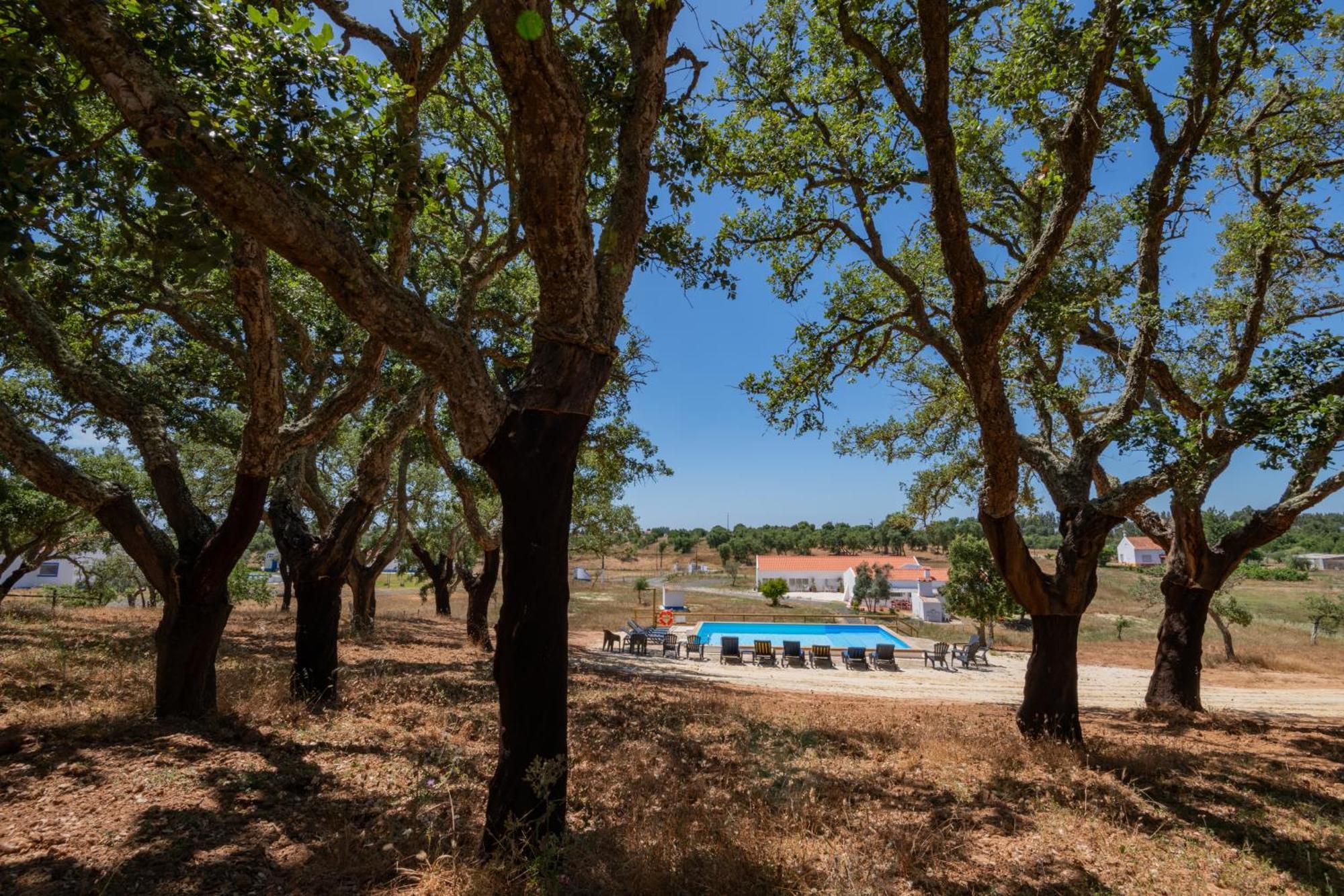 Valle D'Agua - Casas De Campo Vale de Água Eksteriør bilde